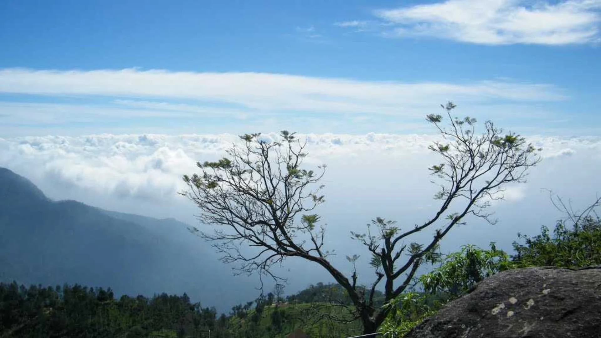 Enjoy views from Dolphin Nos in Ooty
