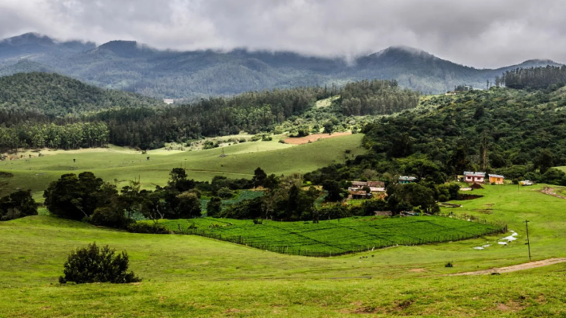 Enjoy a Picnic at Wenlock Downs in Ooty