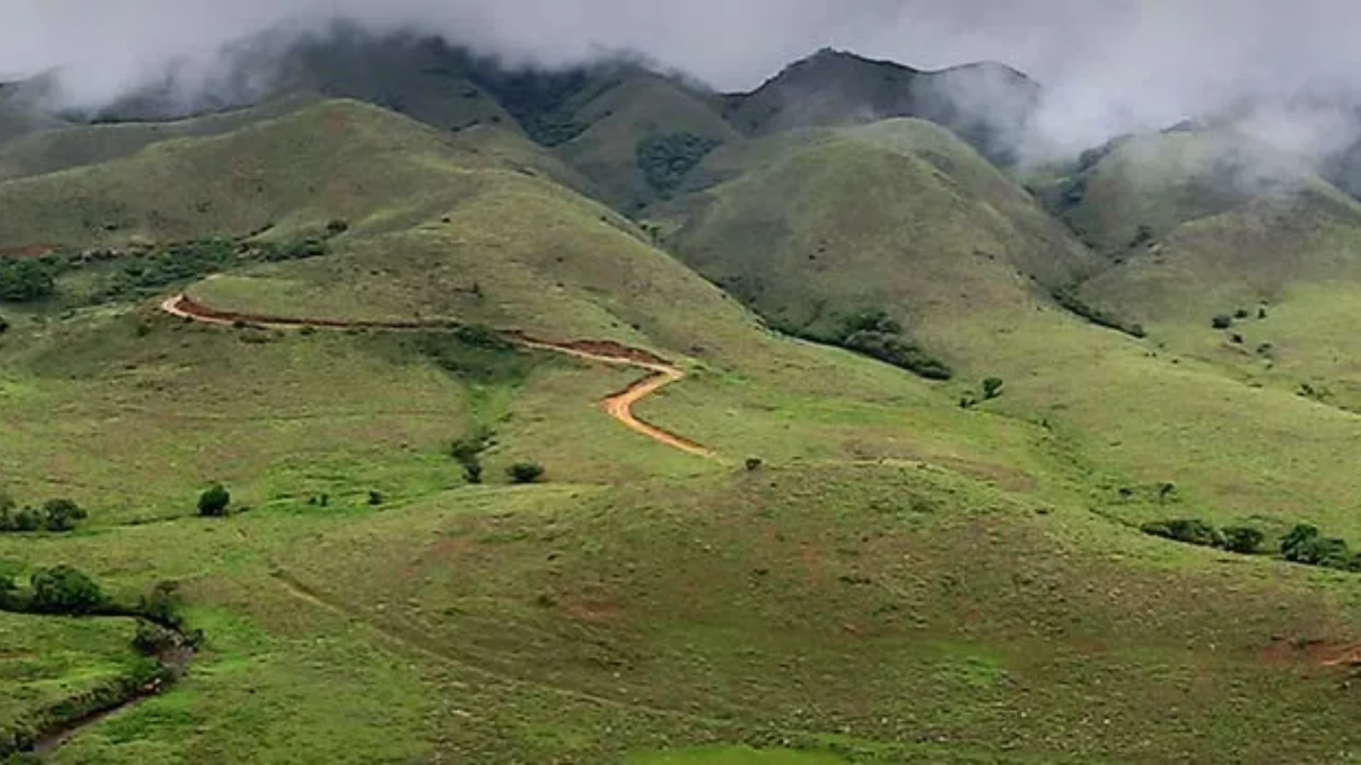 Trek Through the Rolling Grasslands  in Ooty