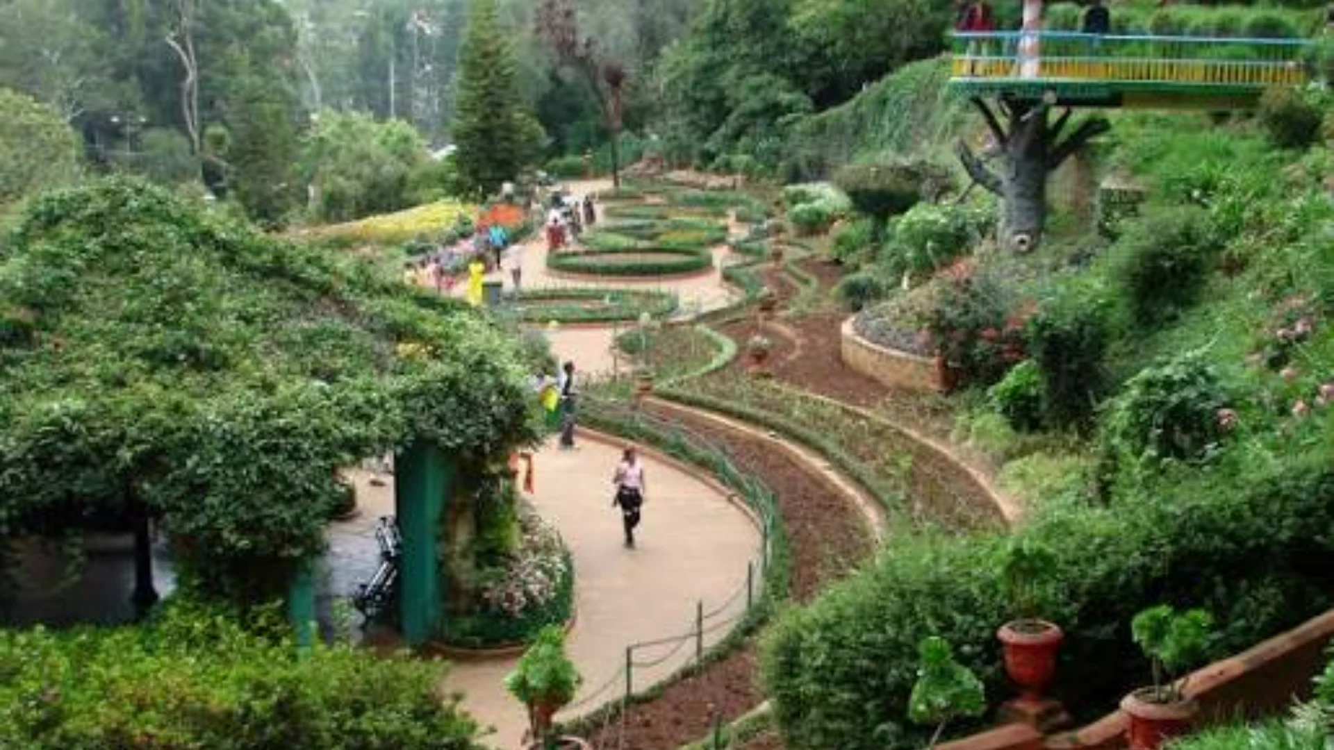 The Beautiful Government Botanical Garden in Ooty
