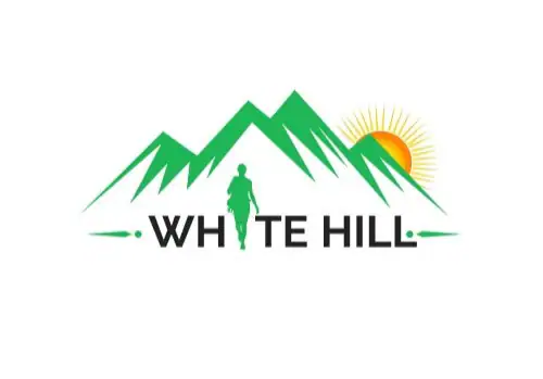 White Hills Manali