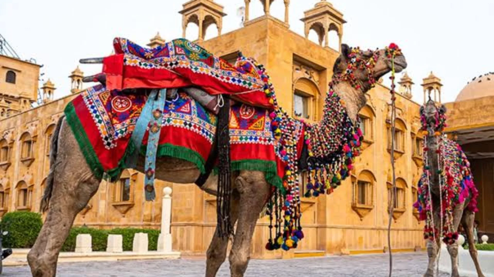 Rajasthan Cultural Tour